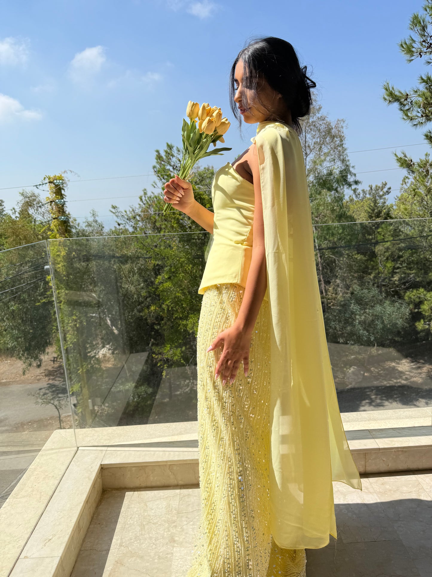 Sunshine Dress - Strapless, A line